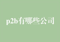 P2B公司大赏：你造吗？亿级市场里竟然还有这些奇怪的名字！