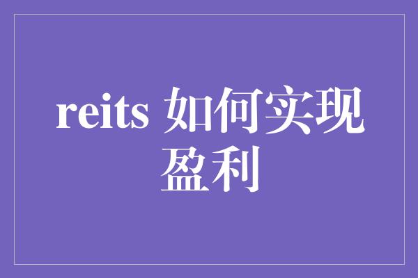 reits 如何实现盈利