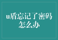 U盾忘记了密码怎么办？别怕，这里有五个妙招让你找回密码，顺便找回遗失的回忆